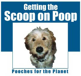 Pooches for the Planet